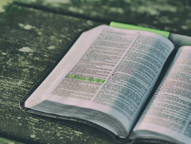 Ancient Judean Bible Books